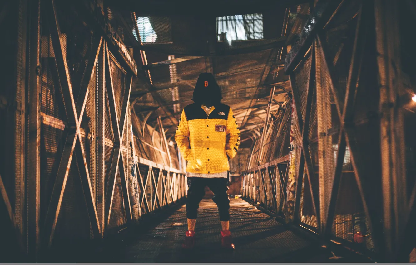 Photo wallpaper light, bridge, plant, people, shadow, hangar, The hood