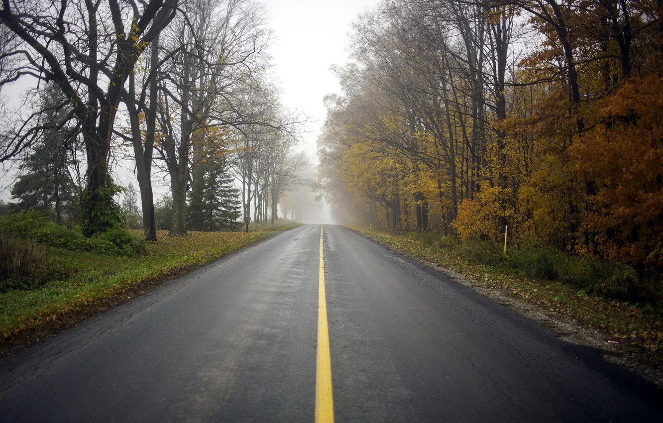 Photo wallpaper road, landscape, fog