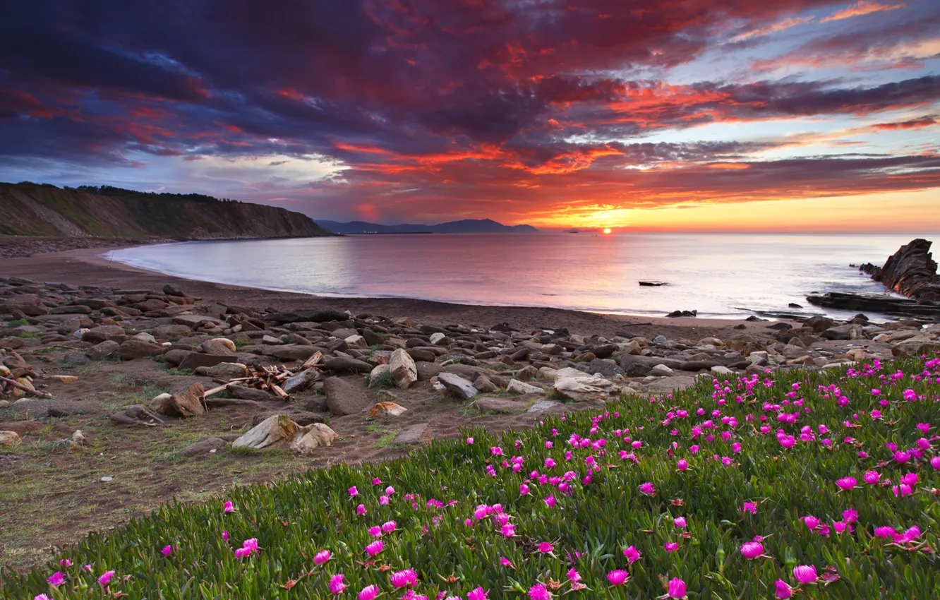 Photo wallpaper the sky, clouds, sunset, flowers, mountains, clouds, lake, stones