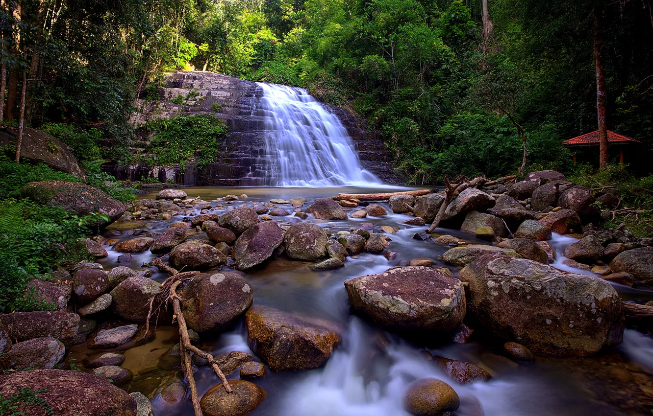 Photo wallpaper forest, trees, Park, stream, stones, rocks, waterfall