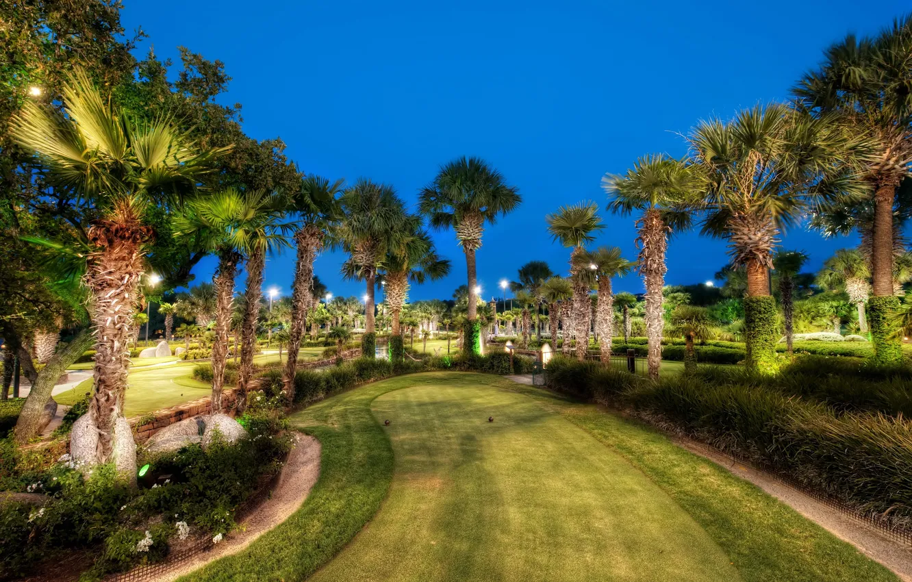Photo wallpaper light, landscape, Park, palm trees, excerpt