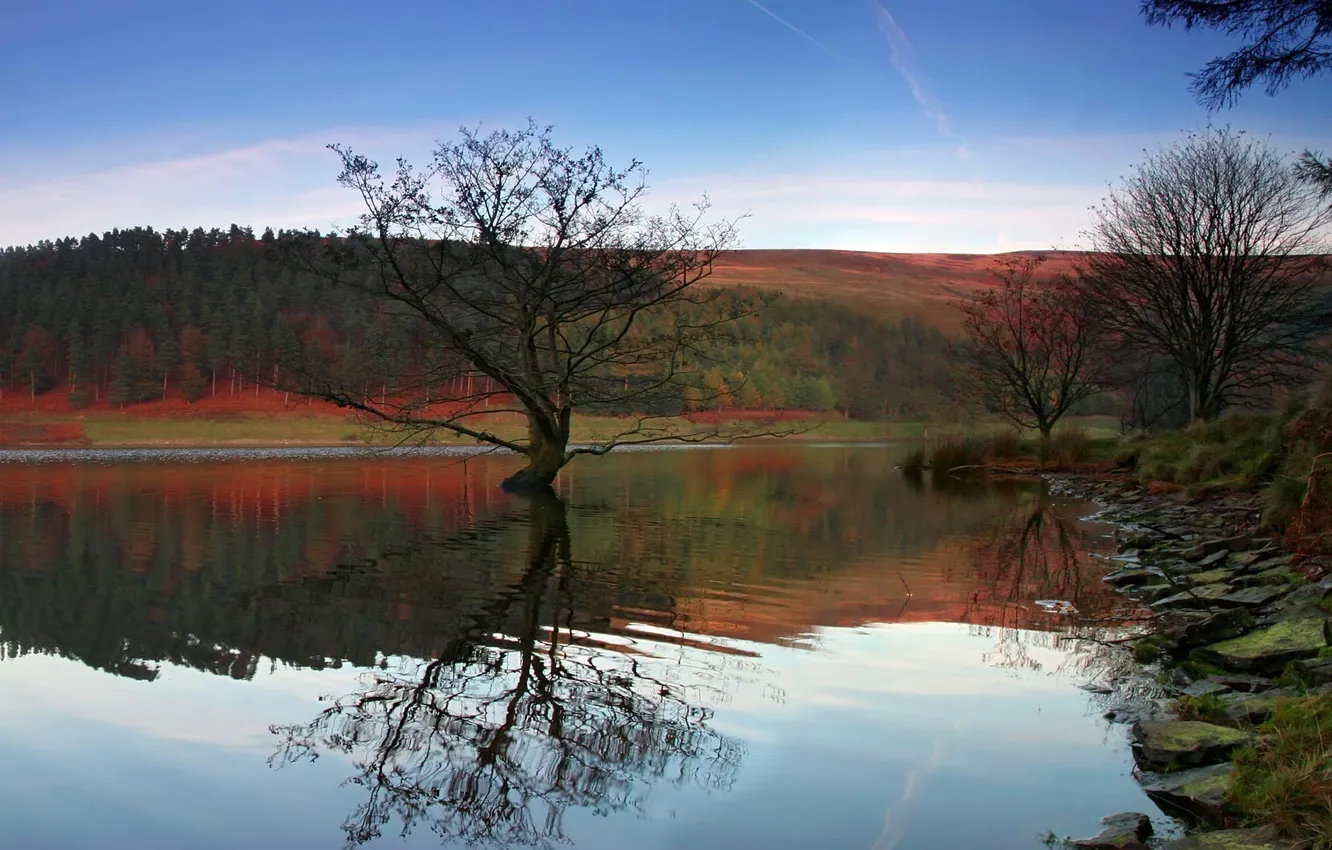 Photo wallpaper autumn, forest, trees, nature, river