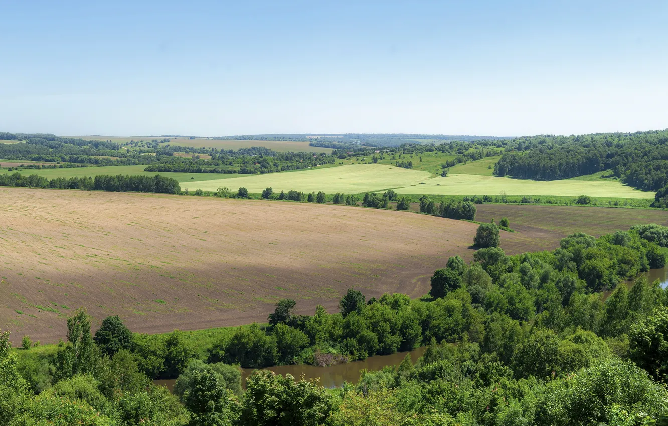 Photo wallpaper field, summer, trees, the sky., river