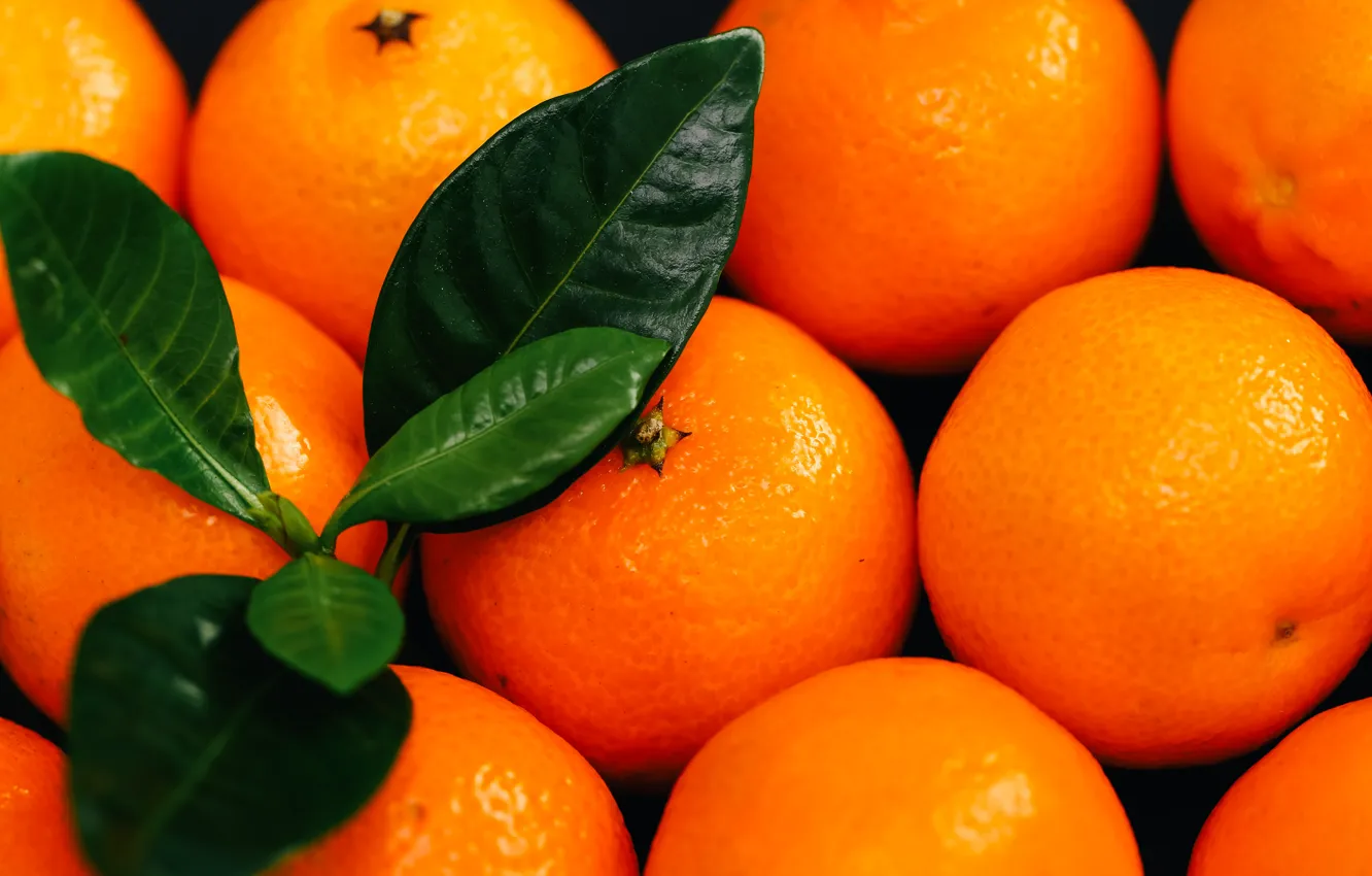 Wallpaper leaves, macro, oranges, fruit, citrus, a lot, tangerines for