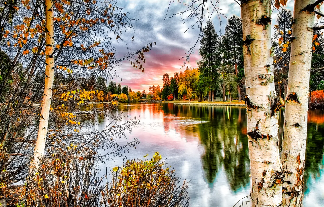 Photo wallpaper autumn, trees, landscape, nature, river, photo, tree, trunk