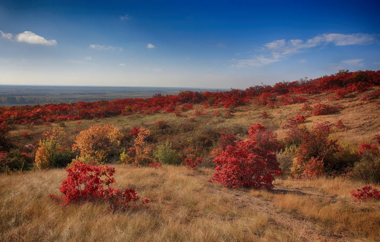 Photo wallpaper autumn, the sky, landscape, nature, beauty, slope