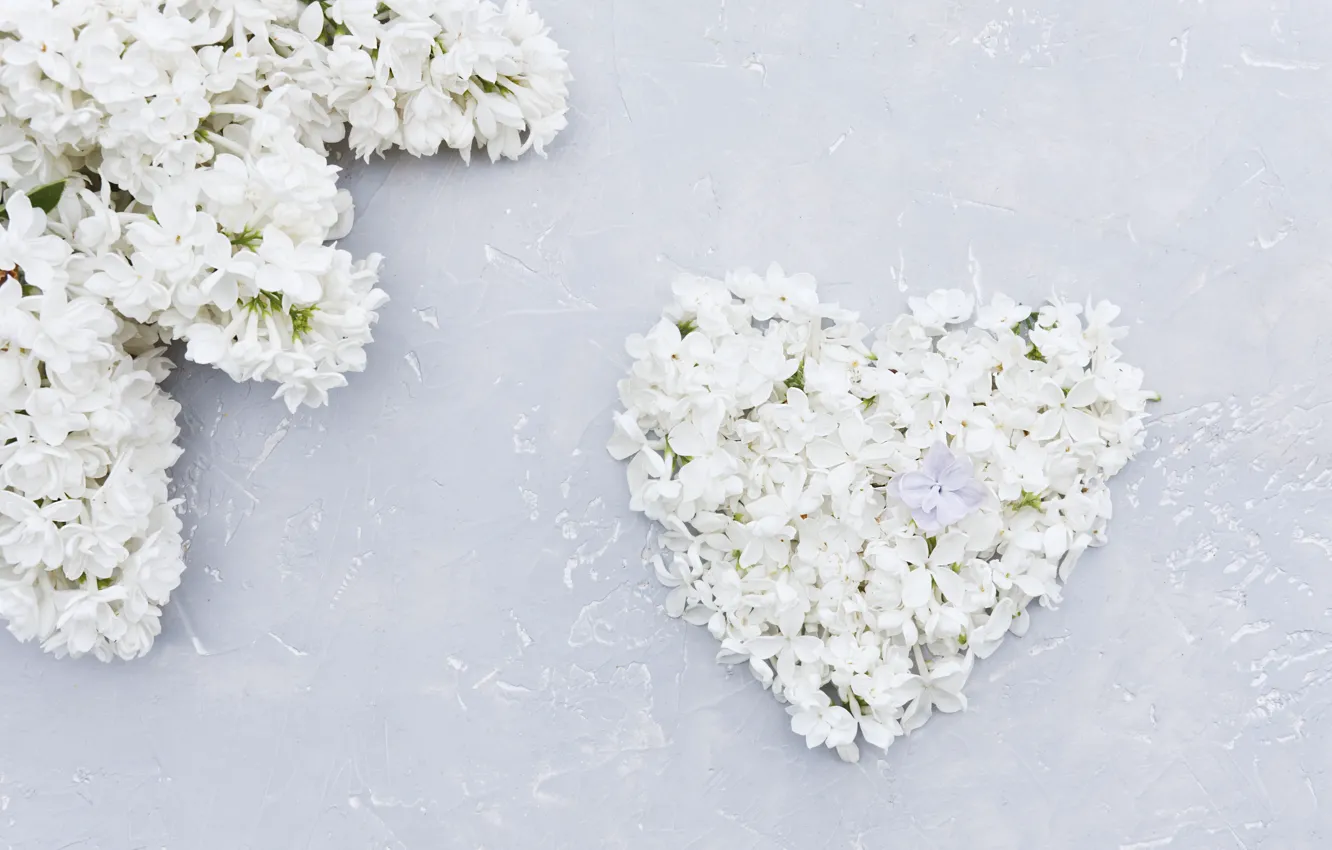 Photo wallpaper flowers, heart, white, love, white, heart, wood, flowers