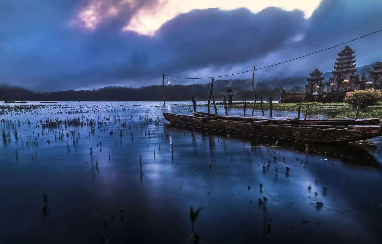 Photo wallpaper forest, the sky, clouds, fog, lake, blue, shore, posts