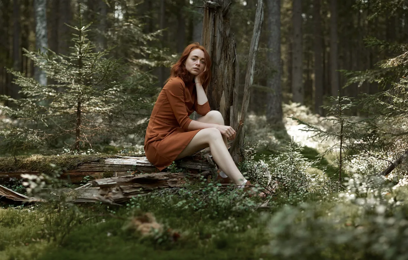 Photo wallpaper forest, freckles, legs, redhead, Into the Woods, Fiyah Max