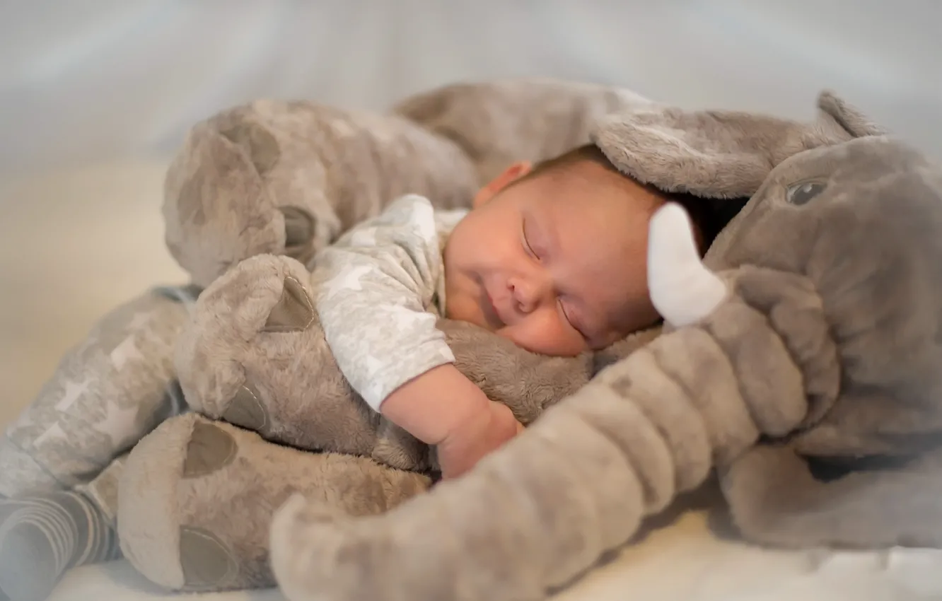 Photo wallpaper comfort, toy, elephant, baby