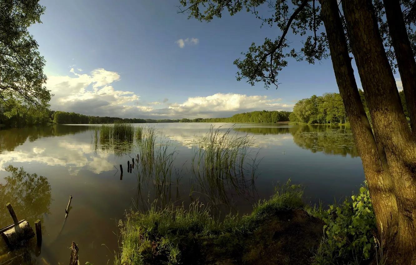 Photo wallpaper clouds, trees, lake, surface