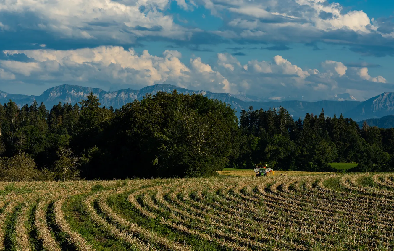 Photo wallpaper field, forest, the sky, clouds, trees, mountains, strip, blue