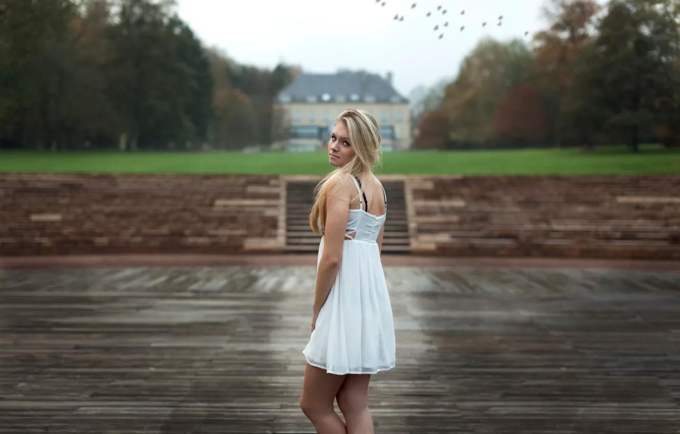 Photo wallpaper look, dress, legs