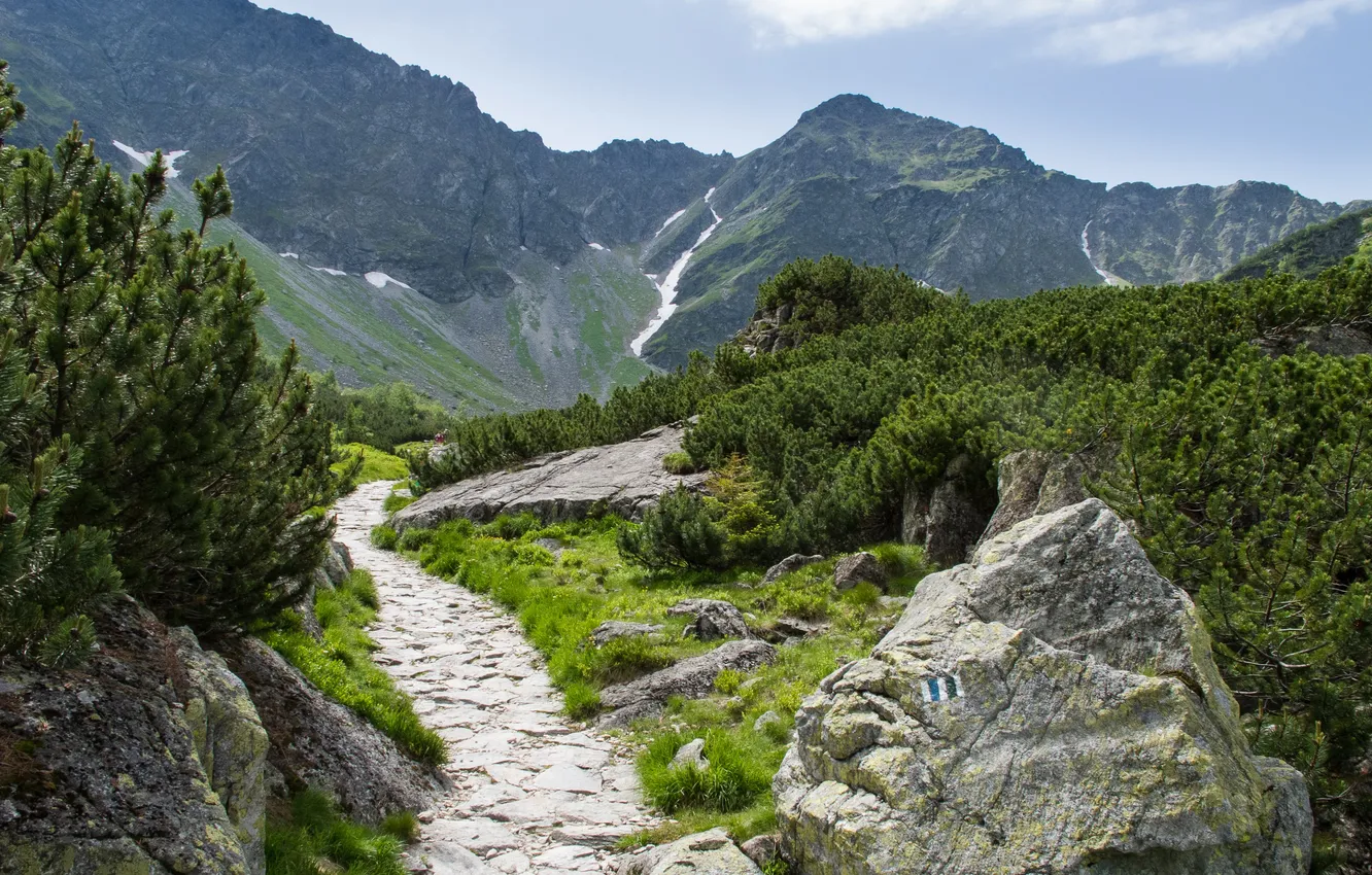 Photo wallpaper the sky, clouds, trees, landscape, mountains, nature, rocks, plant