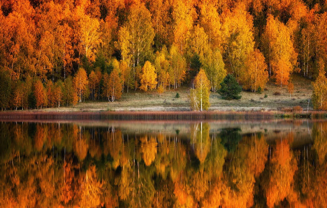 Photo wallpaper autumn, forest, trees, landscape, nature, lake, reflection, shore