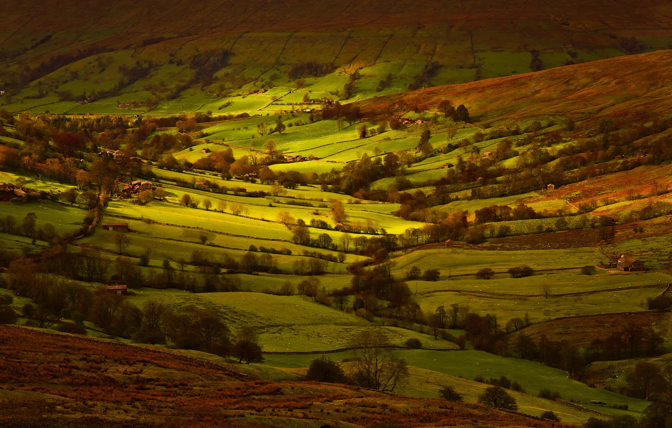 Photo wallpaper light, field, England, Yorkshire