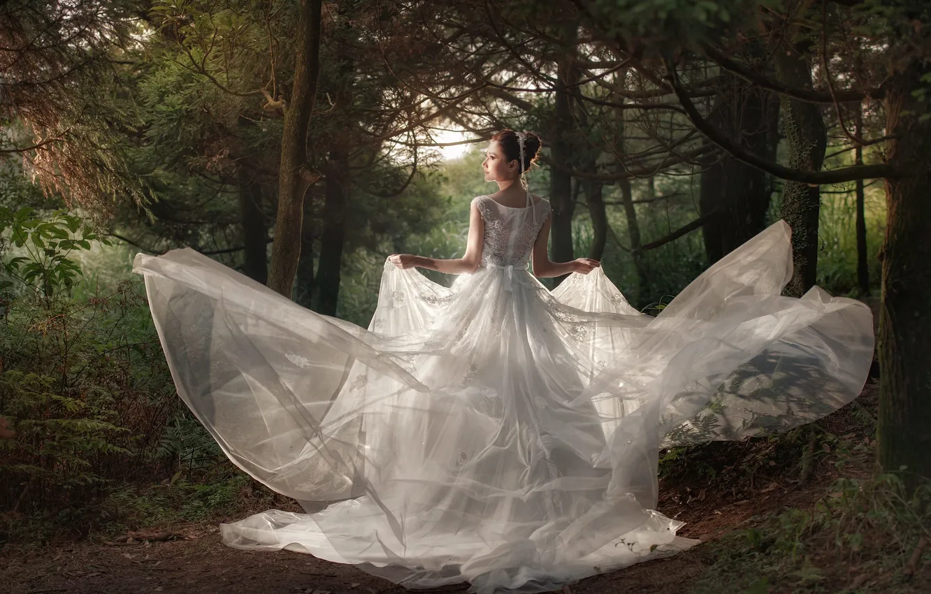 Photo wallpaper forest, girl, the bride, wedding dress
