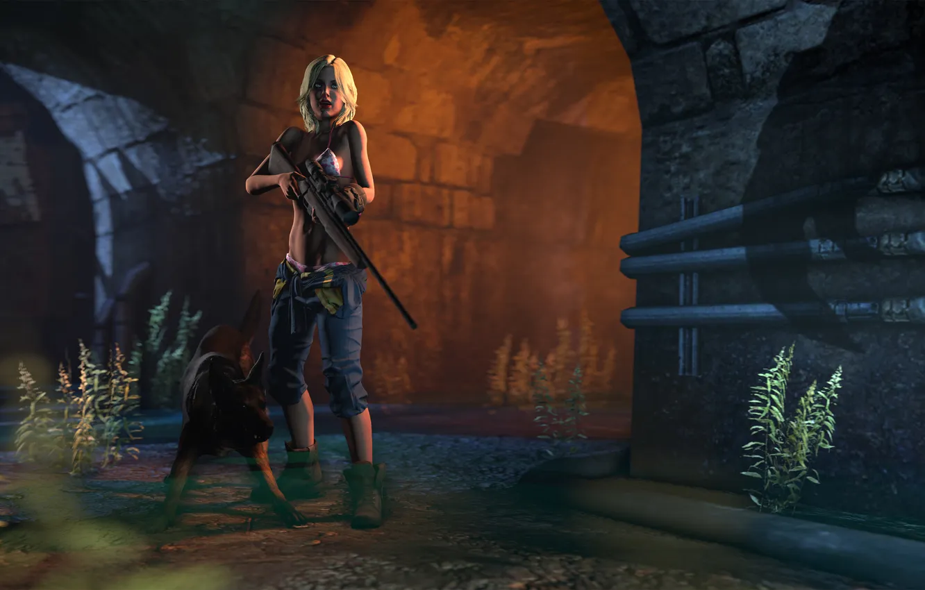 Photo wallpaper chest, girl, shadow, dog, dog, the enemy, sniper rifle, fallout 4