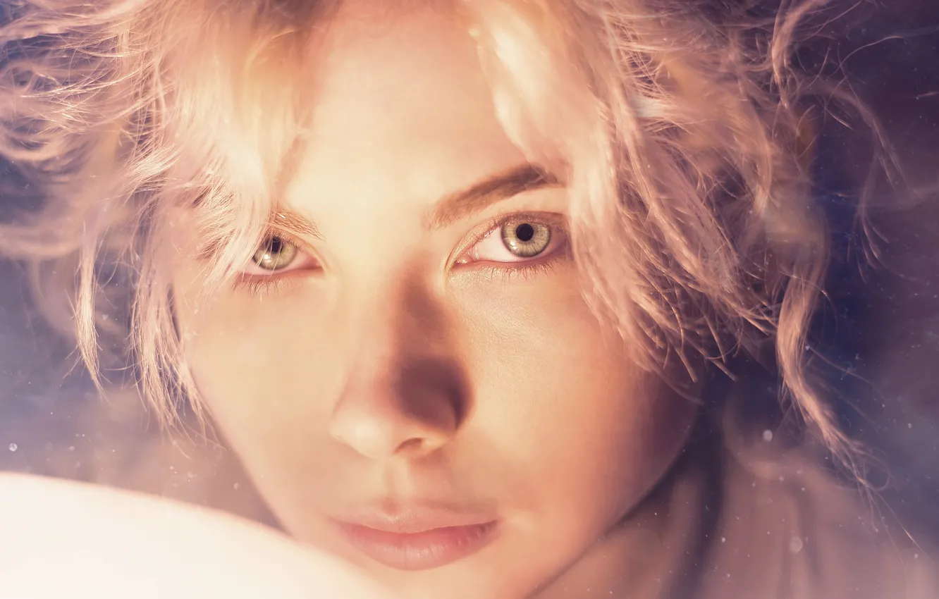 Photo wallpaper sponge, the beauty, Alexander Shulzhenko, Elena Alekseeva