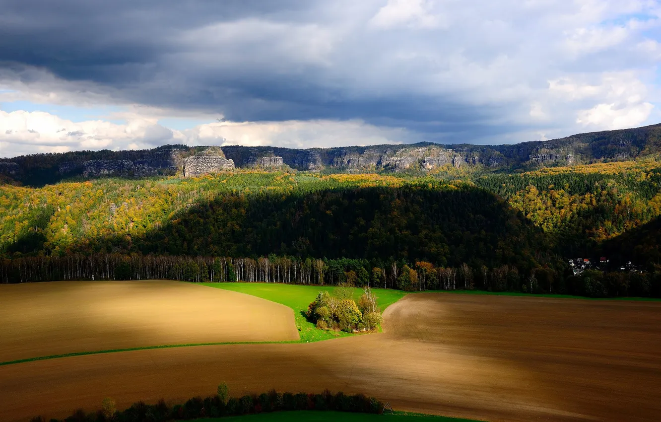 Photo wallpaper field, autumn, forest, the sky, clouds, light, trees, mountains