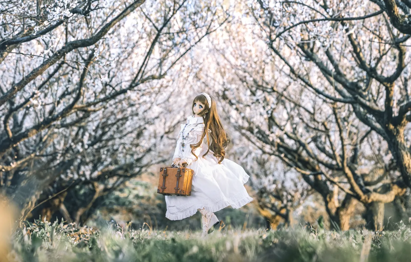 Photo wallpaper trees, toy, spring, doll, dress, suitcase
