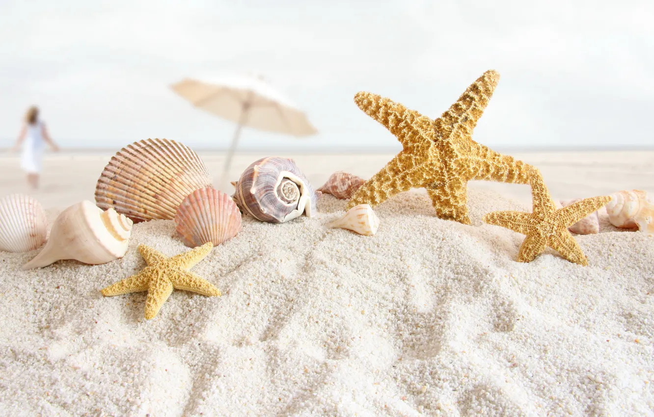 Photo wallpaper sand, sea, beach, style, umbrella, shore, shell, starfish