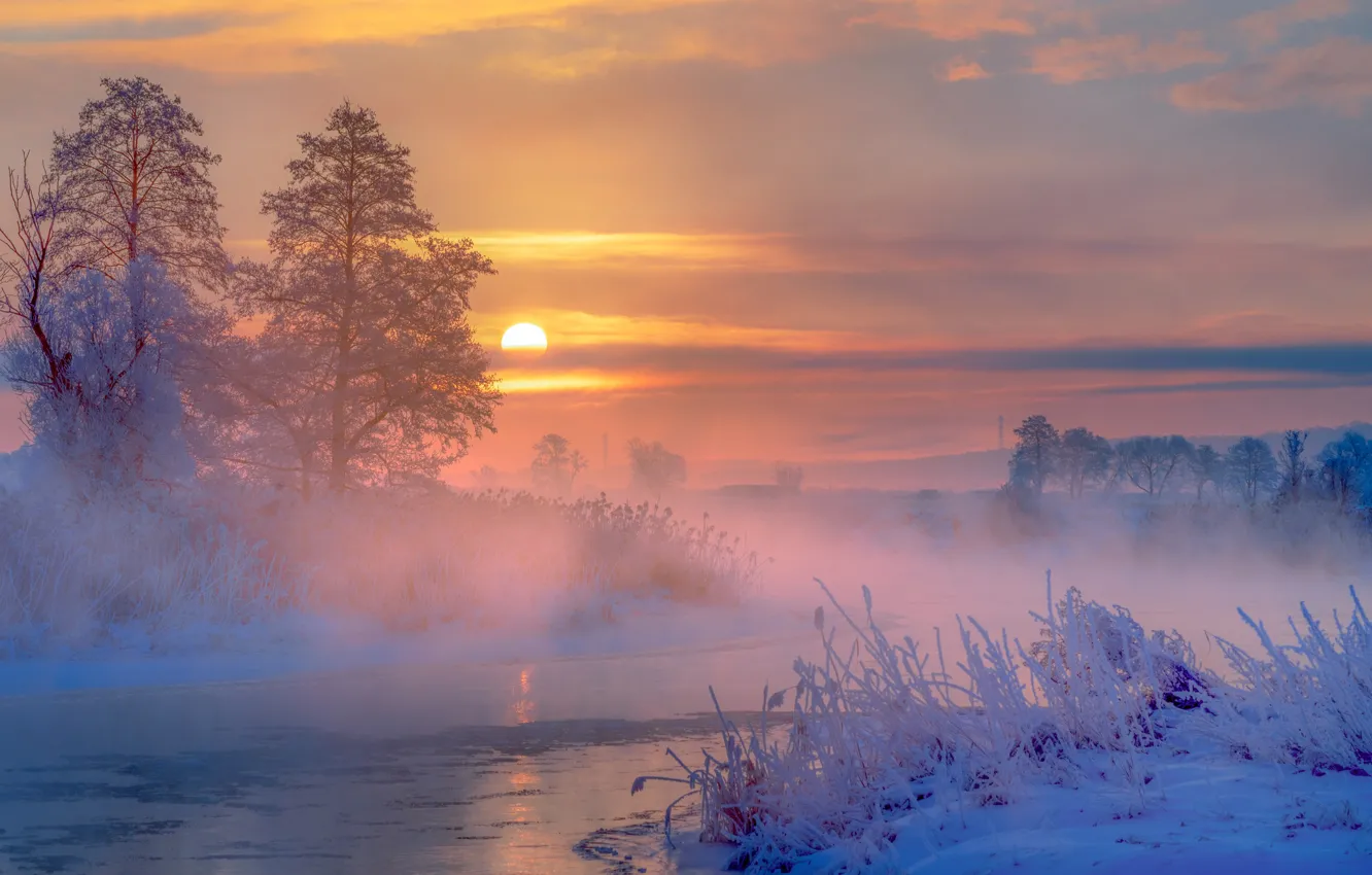 Photo wallpaper winter, snow, trees, fog, river, sunrise, dawn, morning