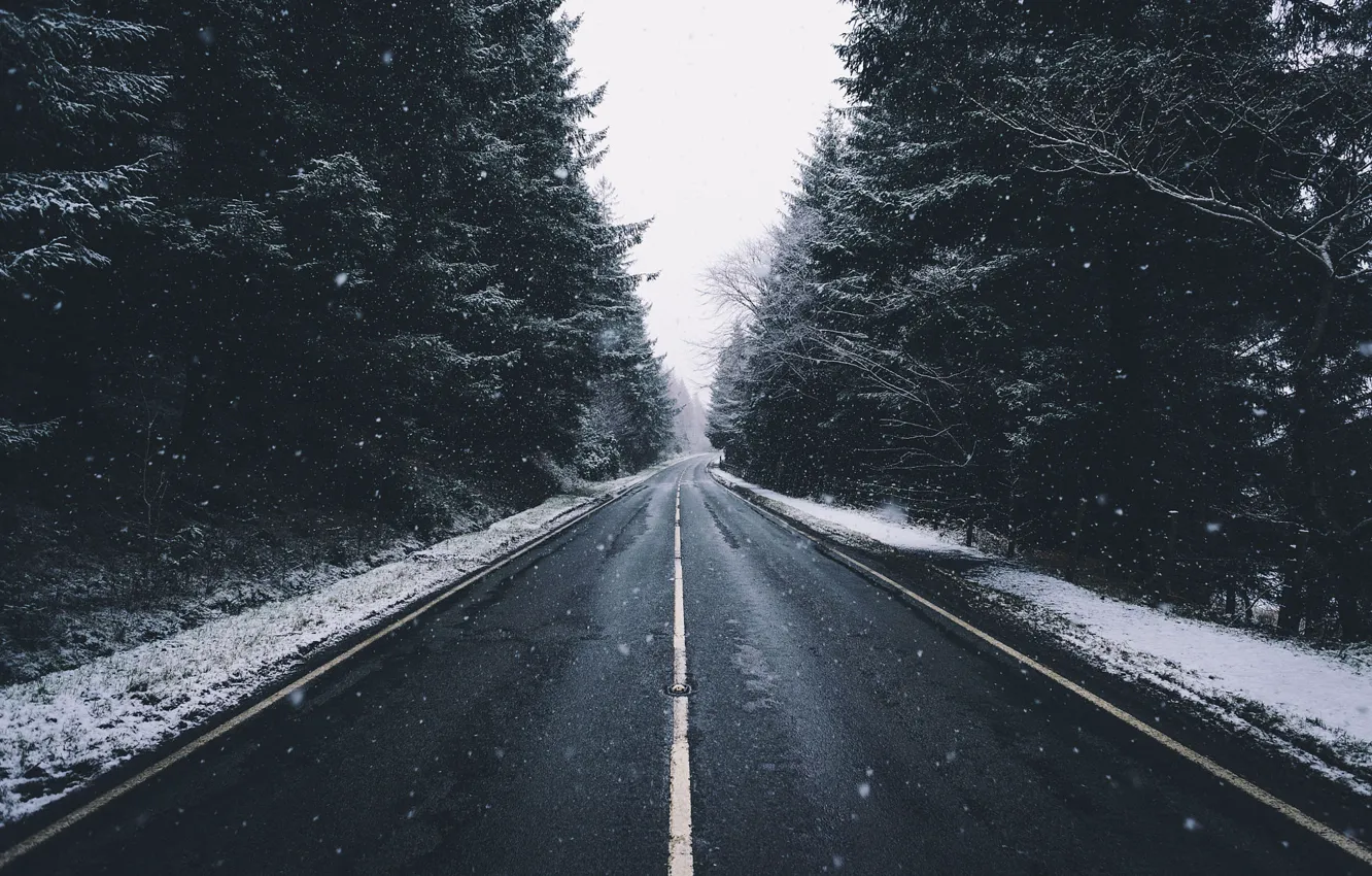 Photo wallpaper cold, winter, road, forest, snow, trees