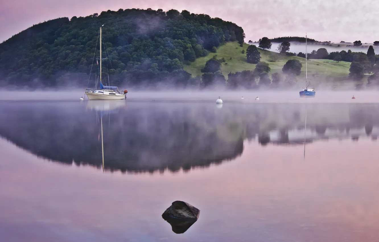 Photo wallpaper forest, water, trees, landscape, nature, fog, lake, reflection