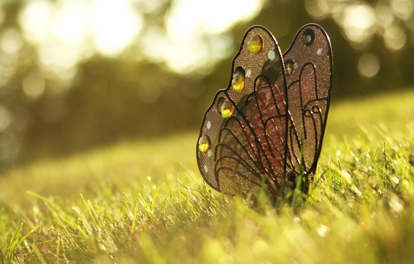 Photo wallpaper grass, decoration, butterfly