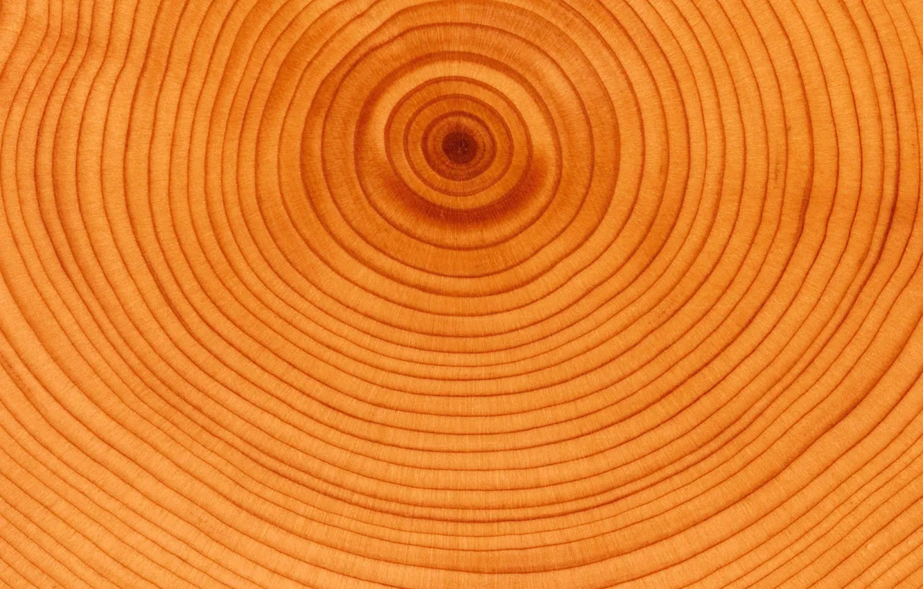 Photo wallpaper Orange, yellow, wood, natural