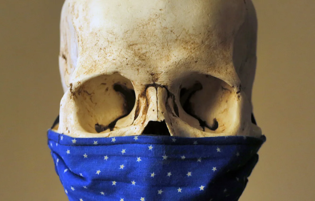 Photo wallpaper skull, mask, pandemic