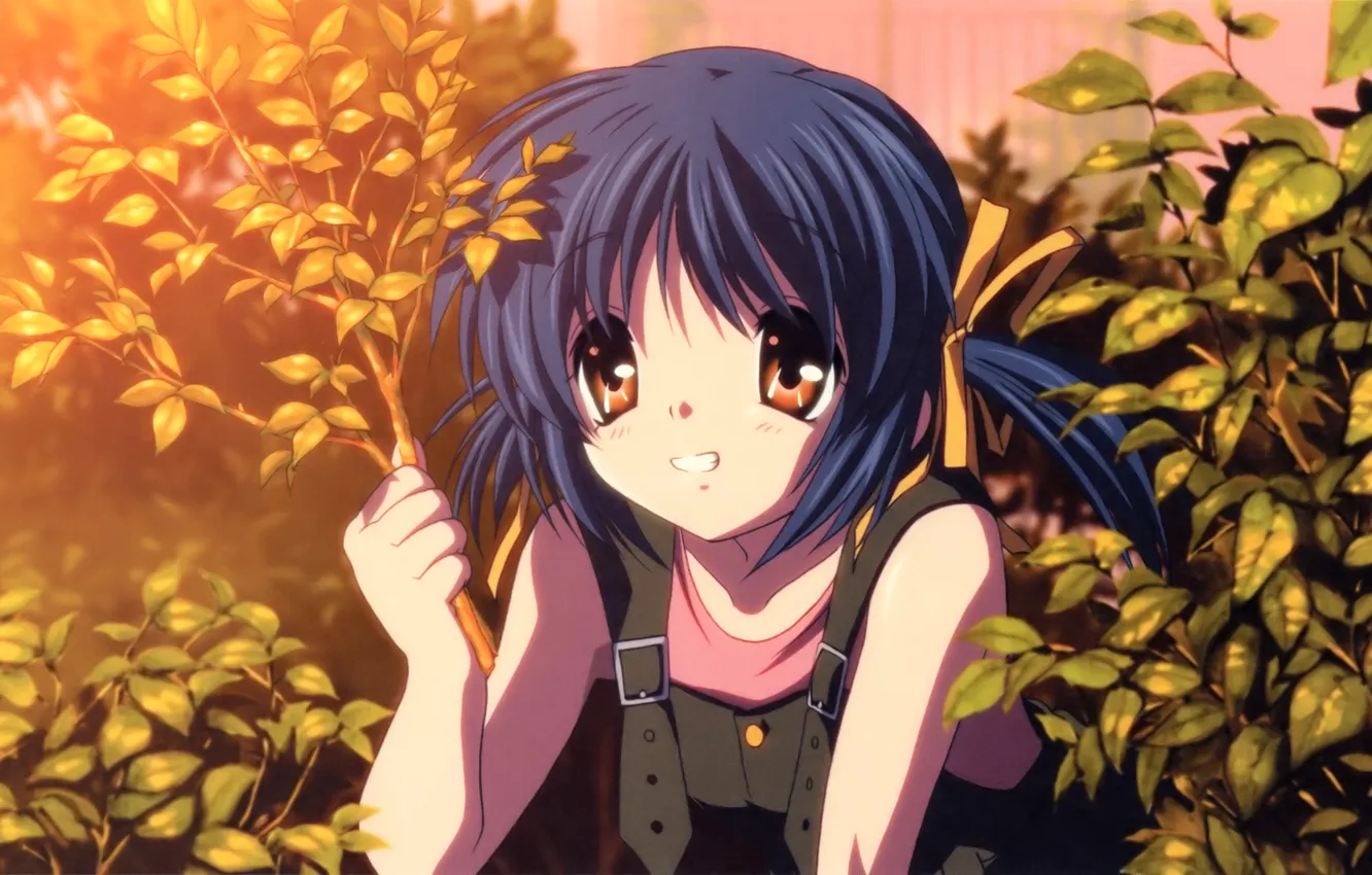 Photo wallpaper branch, girl, Clannad, Clannad