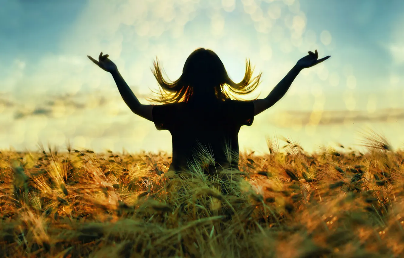 Photo wallpaper field, the sky, grass, spikelets, silhouette, photographer Alexey Khokhlachev