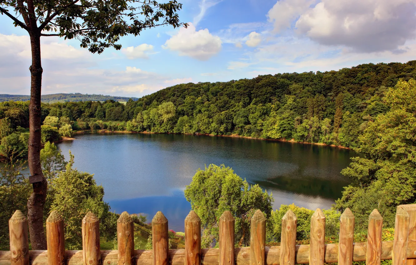 Photo wallpaper forest, nature, lake, Germany, Germany, trees.