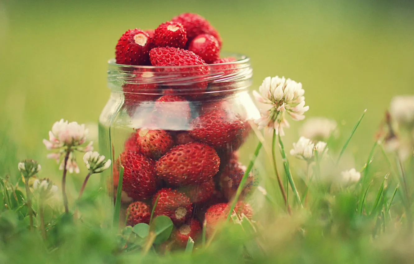 Photo wallpaper greens, summer, grass, macro, flowers, nature, berries, strawberry
