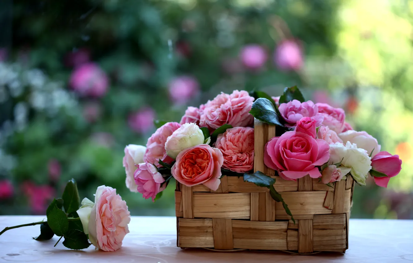 Photo wallpaper roses, basket, basket, © Elena Di Guardo