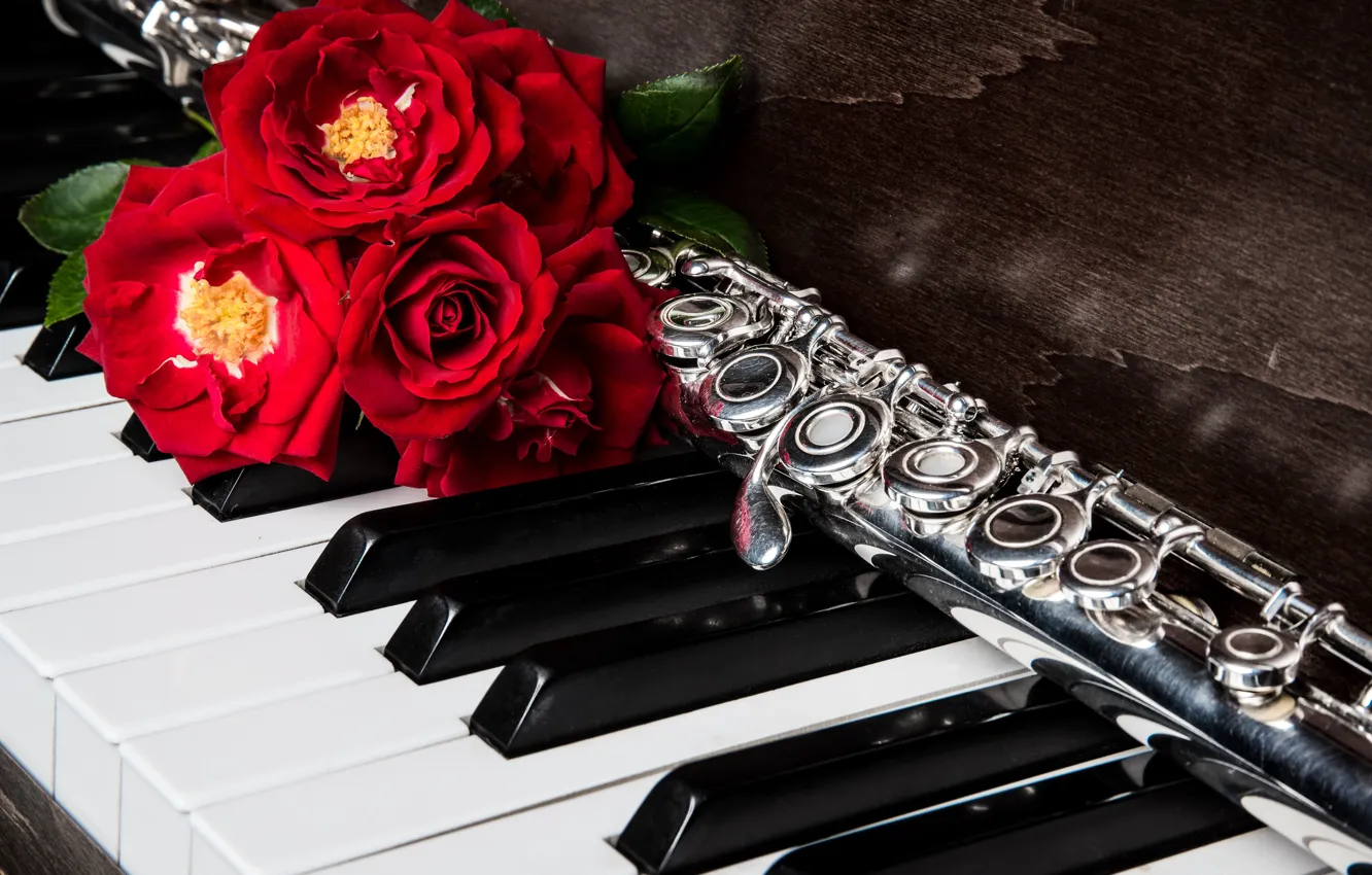 Photo wallpaper roses, piano, flute
