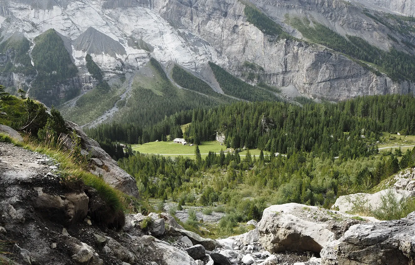 Photo wallpaper trees, mountains, valley, Switzerland, settlement