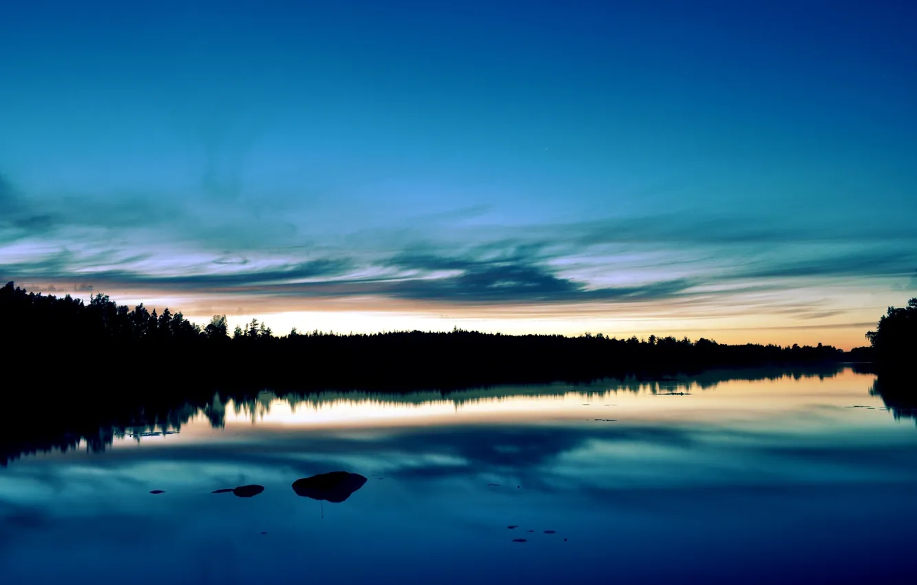 Photo wallpaper forest, sunset, lake