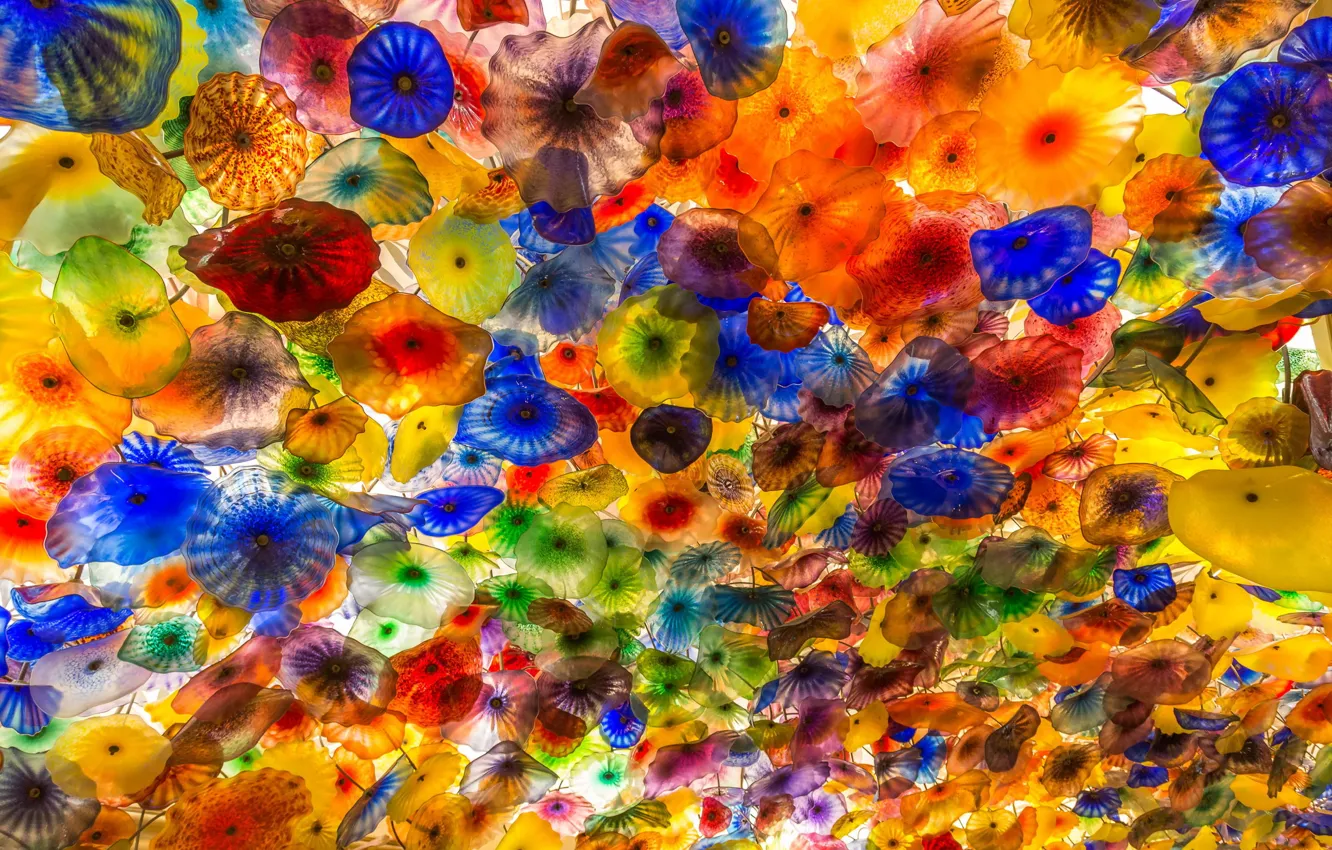 Photo wallpaper glass, flowers, color