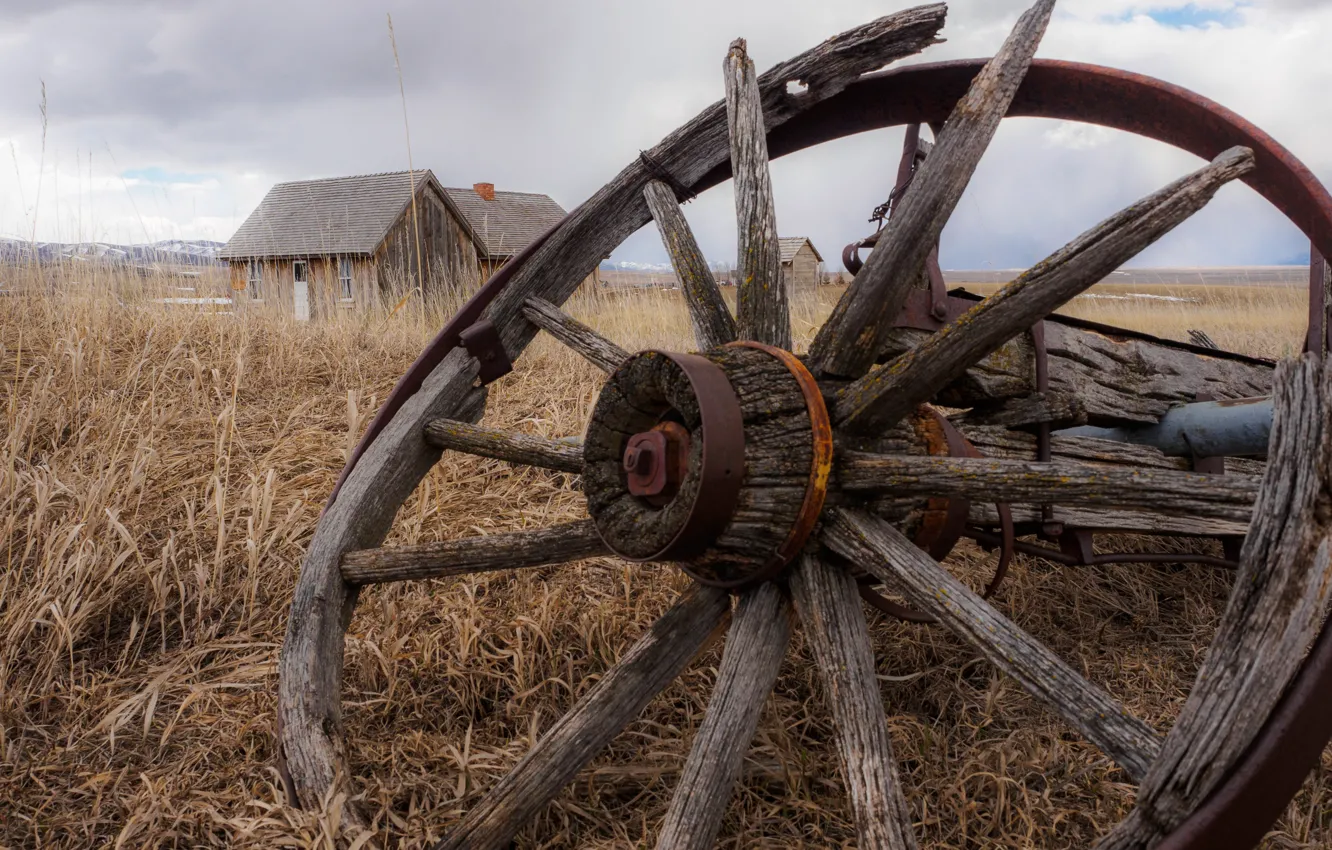 Photo wallpaper field, home, wheel, from the cart