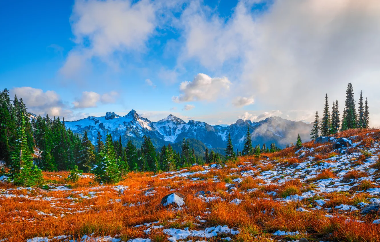 Photo wallpaper clouds, snow, landscape, mountains, USA, Mount Rainier National Park