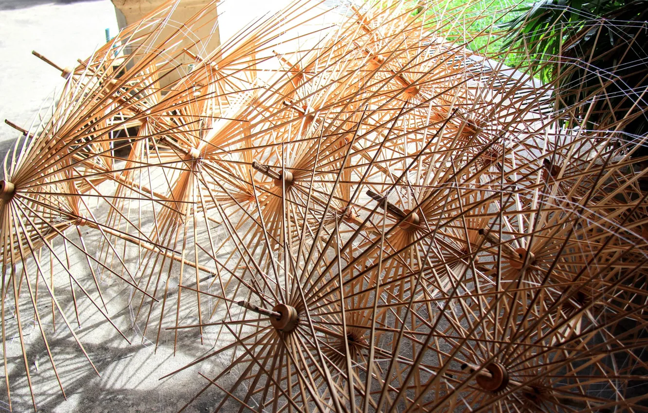 Photo wallpaper umbrella, Japan, frame