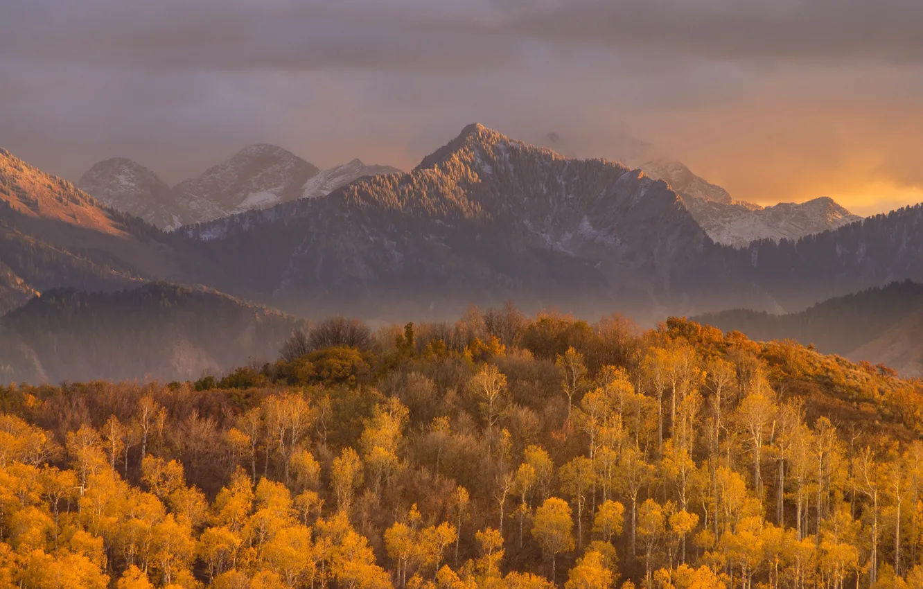 Photo wallpaper autumn, forest, the sky, clouds, sunset, mountains, nature