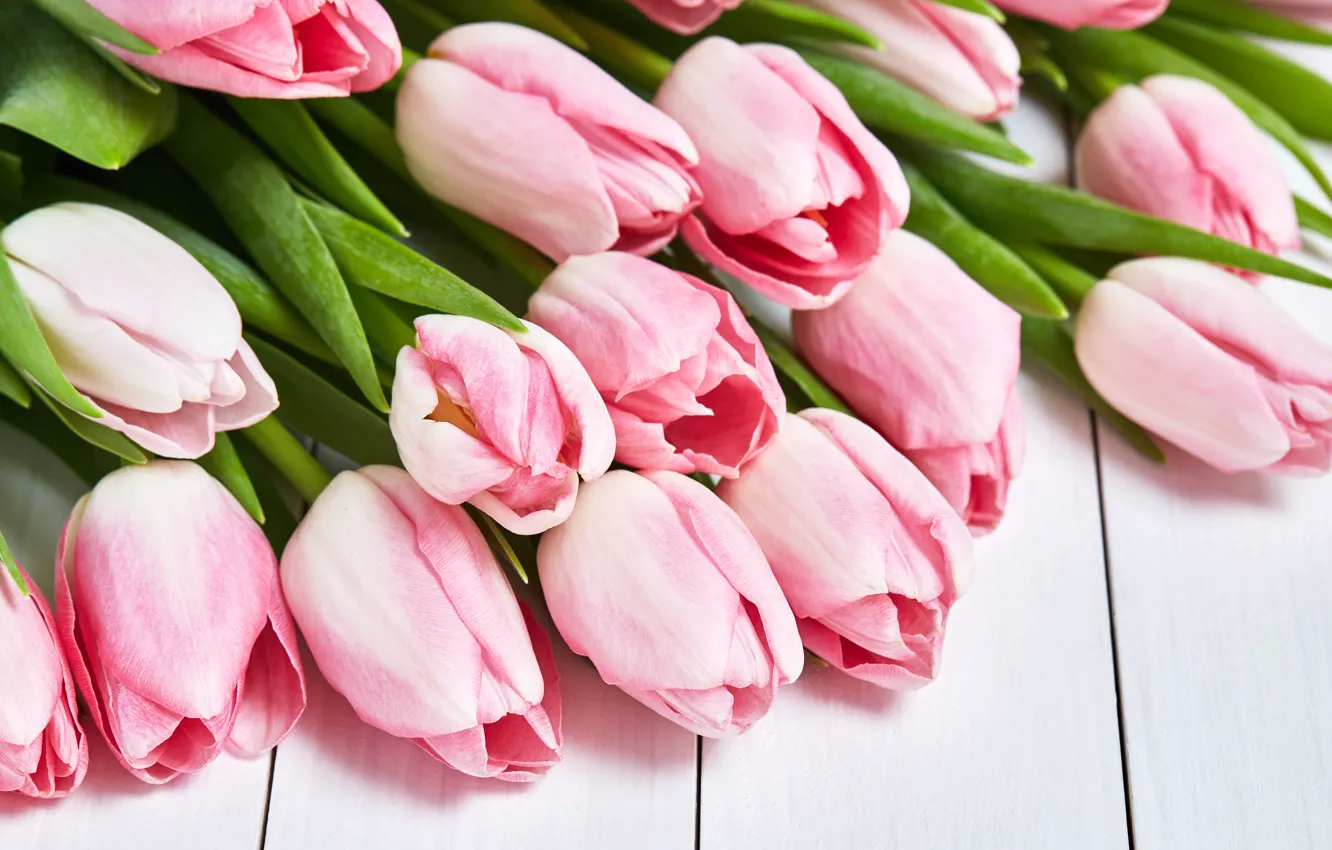 Photo wallpaper bouquet, tulips, pink, Olena Rudo