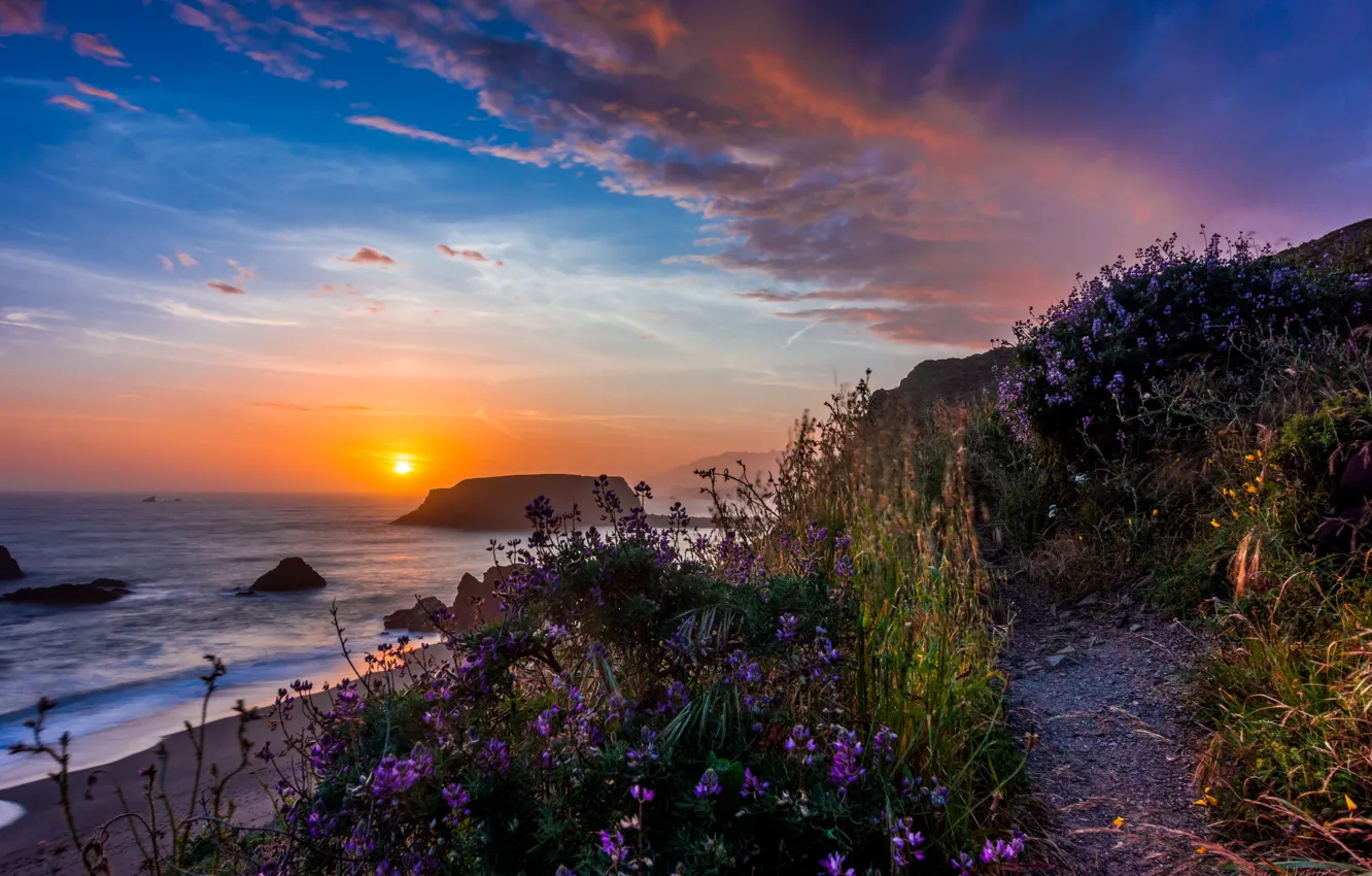 Photo wallpaper landscape, sunset, nature, the ocean, rocks, coast, vegetation, USA
