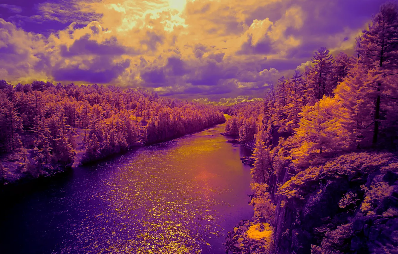 Photo wallpaper forest, the sky, clouds, light, trees, nature, river, color