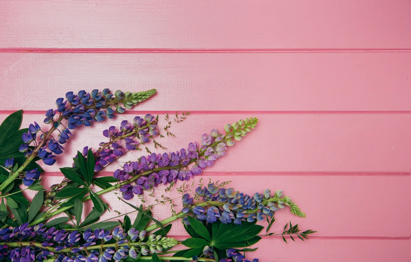 Photo wallpaper flowers, background, pink, wood, pink, flowers, purple, lupins