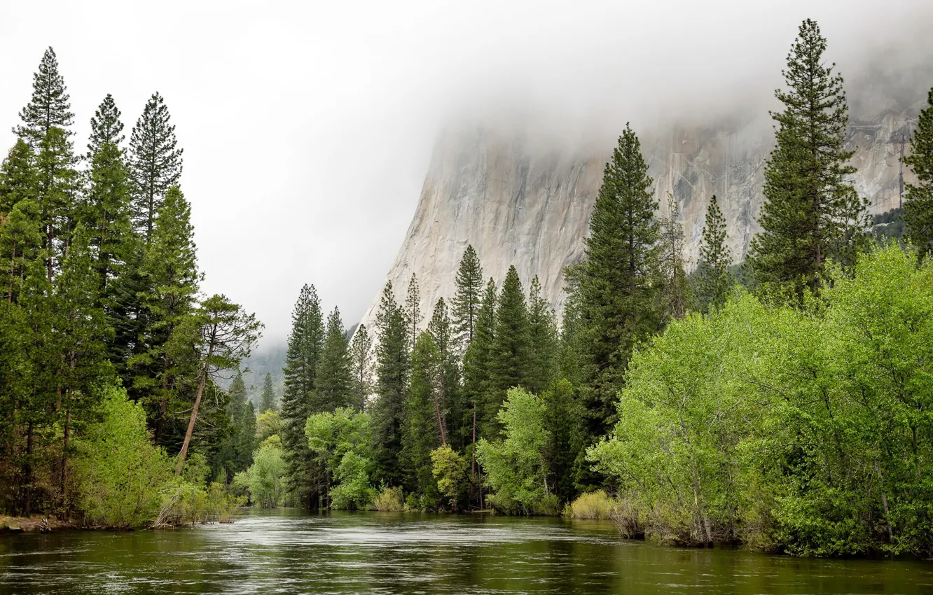 Photo wallpaper United States, California, Spring Flood, Yosemite Village